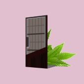 Wood Door