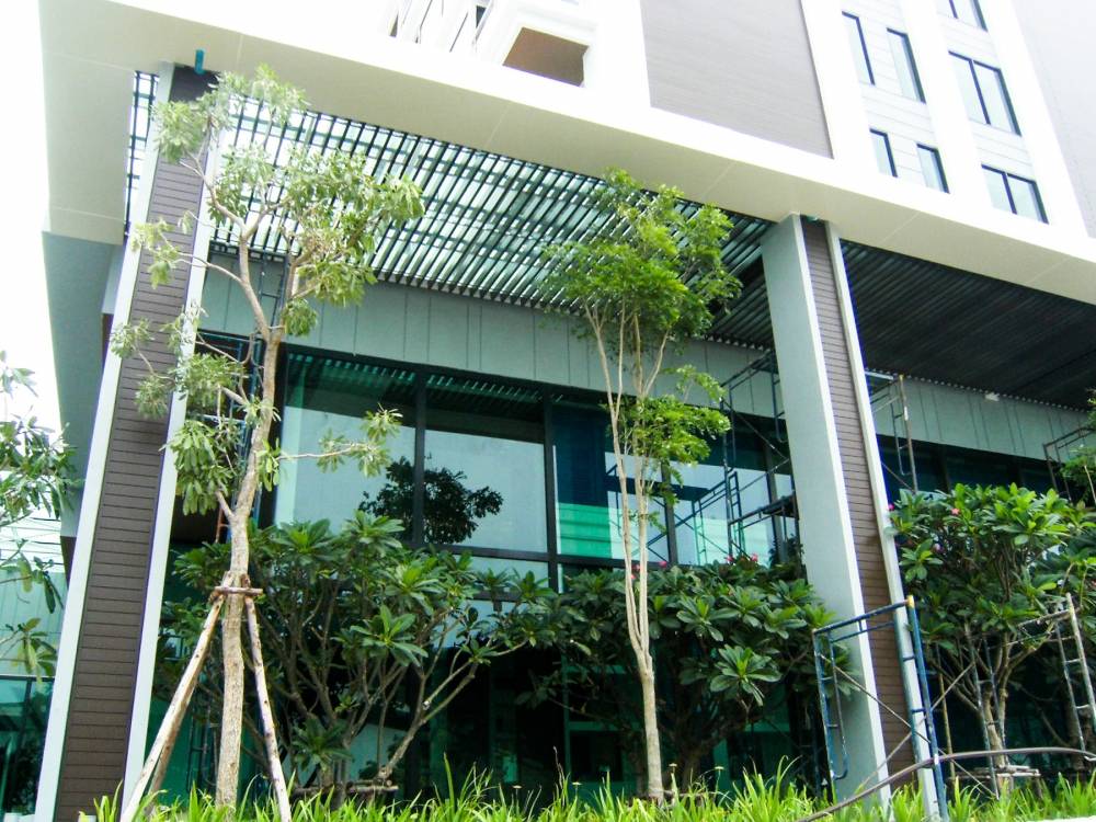 ไม้เทียม CabOnyx: ไม้จริง 60% สารเติมแต่ง 40% นวัตกรรมเทคโนโลยีไม้จริงเสริมแรง